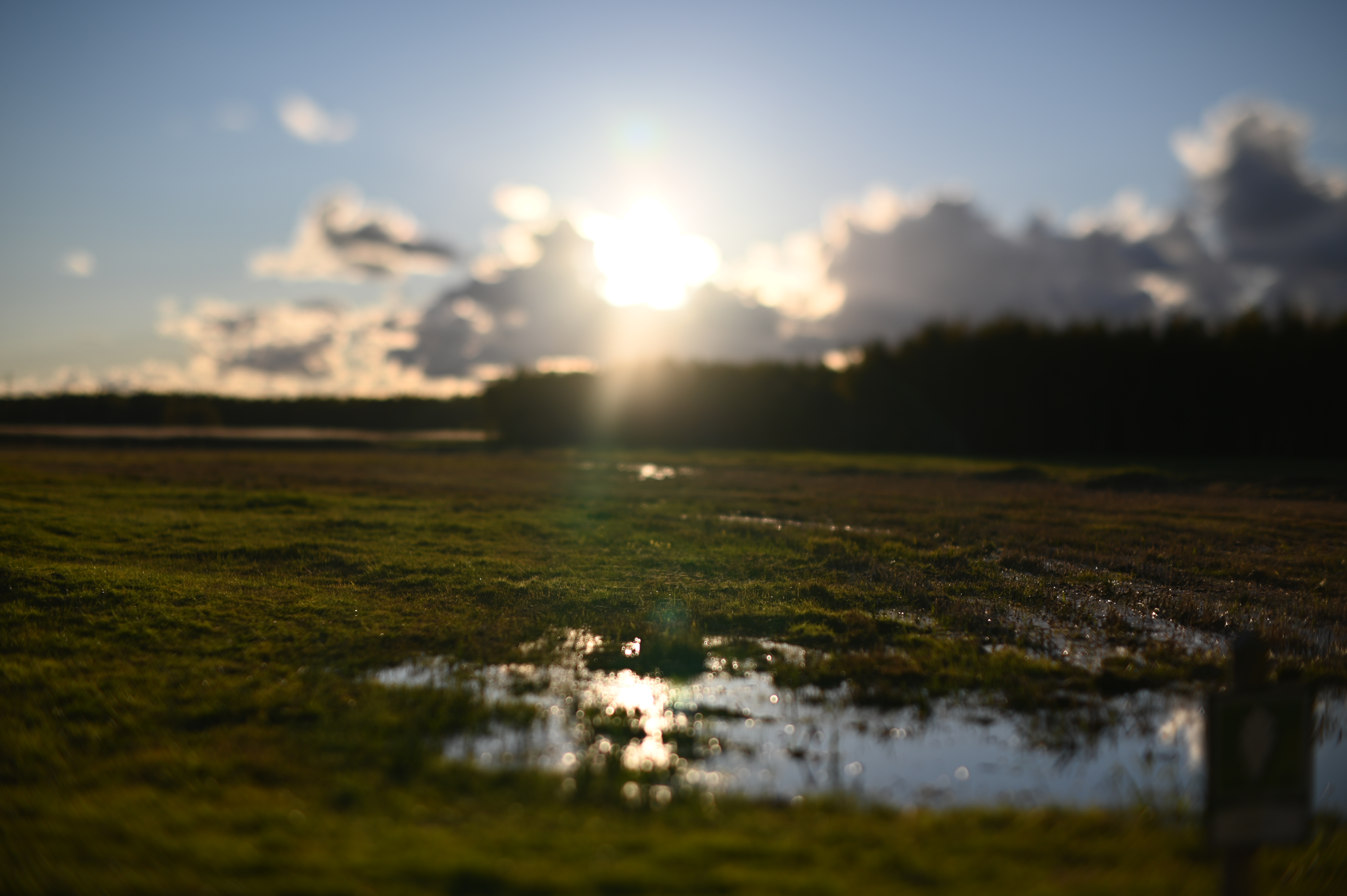 2025/10/18 - walk/DSC_0183.JPG